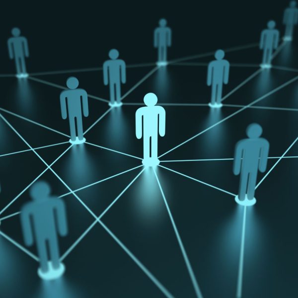 Custom Network Performance Audit